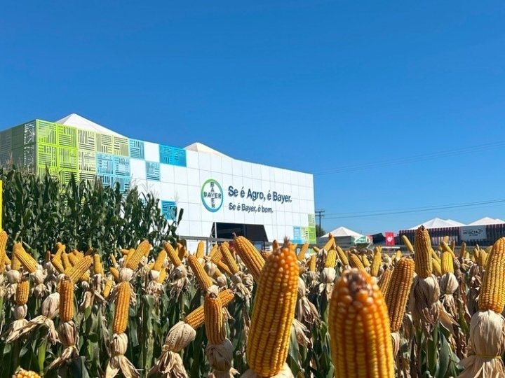  Bayer inova com soluções de proteção de cultivos e sementes de ponta no Show Rural Coopavel