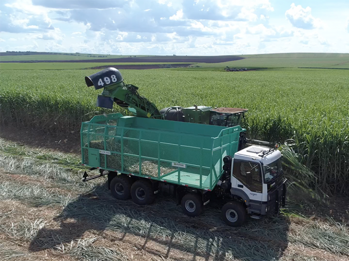 Brasil tenta ampliar cota de exportação de açúcar aos EUA em tratativa sobre tarifa do etanol