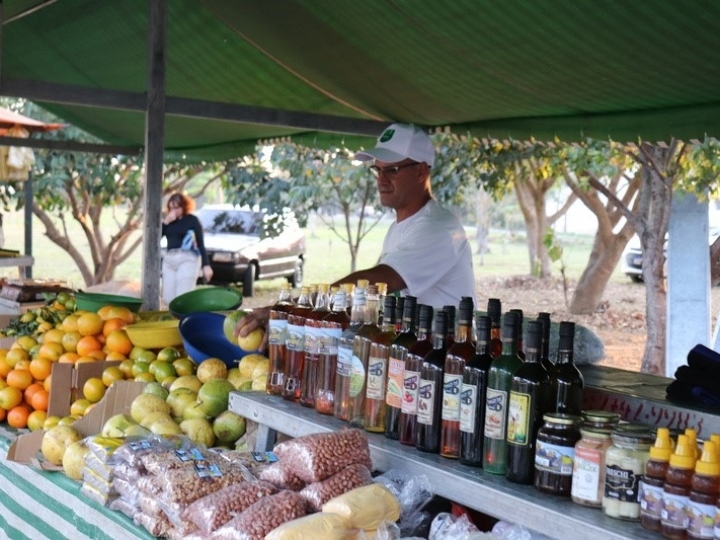 BASF impulsiona a transformação verde e investe na circularidade para dar novos fins ao lixo