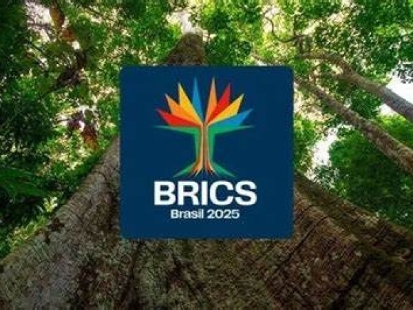 Samaúma e logo do BRICS (Foto: Divulgação)