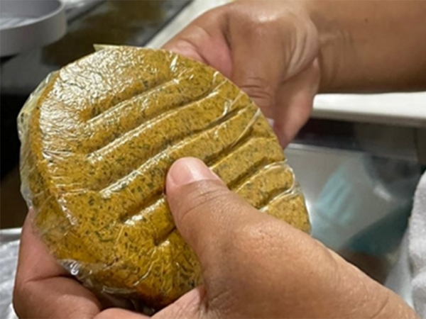 O hambúrguer de babaçu agrega nutrição, saúde, segurança alimentar e valorização da cultura regional. Foto: Flavia Bessa