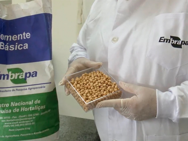 Embrapa e Blue Origin levam batata-doce e grão-de-bico para o espaço