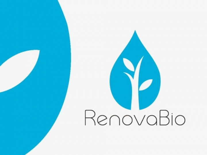 RenovaBio: ANP aprova nova norma para certificação de biocombustíveis