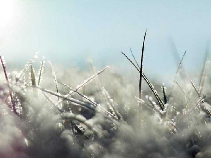 Geada atinge 18 municípios de Mato Grosso do Sul