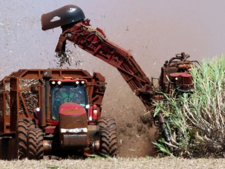 O maior canavial do Brasil: a cidade que tem 71% de seu território coberto por cana-de-açúcar