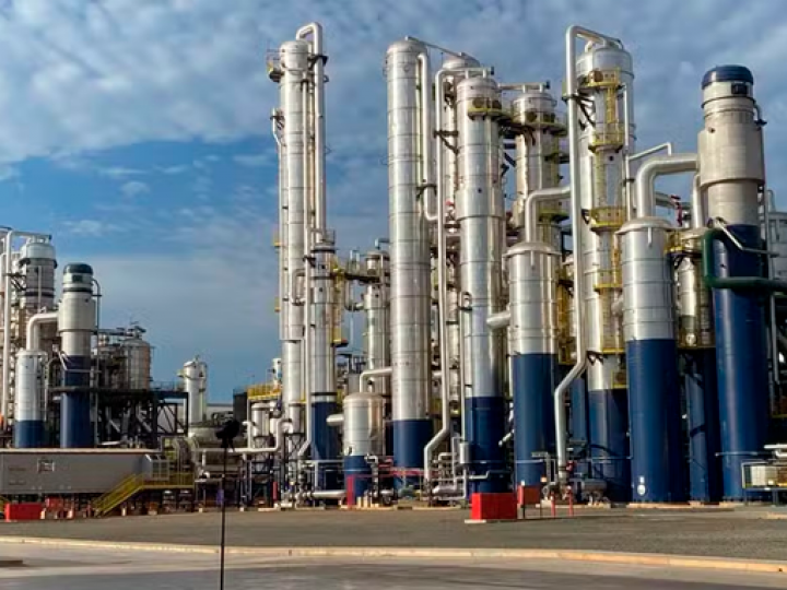 Inpasa fomenta produção de sorgo para a fabricação de etanol