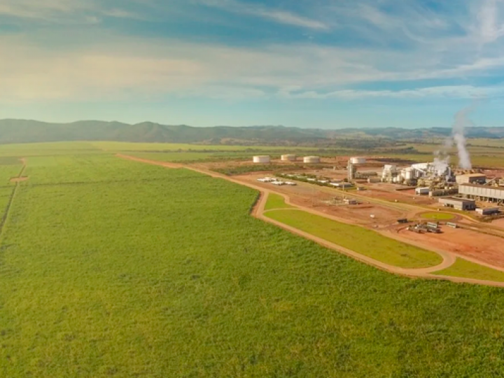 Previsão de maior oferta pressiona preços do açúcar