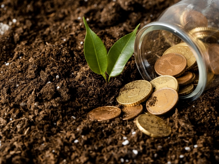 Agroindústria tem o pior mês de junho desde 2019, revela FGVAgro