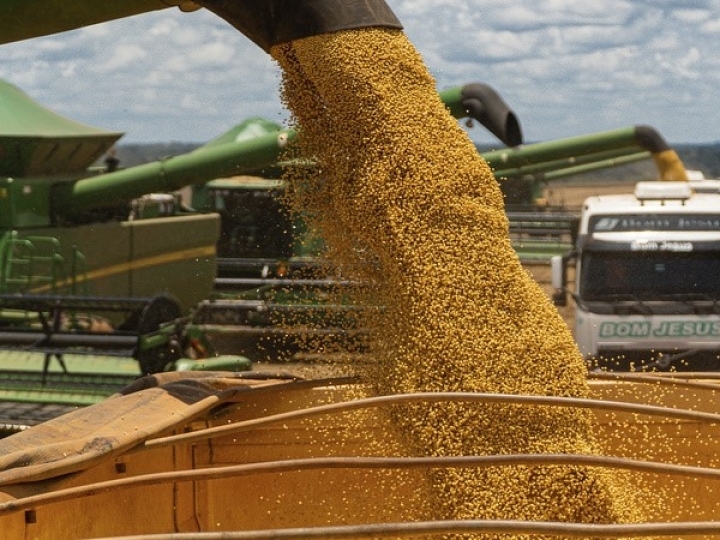 Grãos: Anec projeta exportação de soja entre 7,2 milhões e 7,85 milhões de t em setembro
