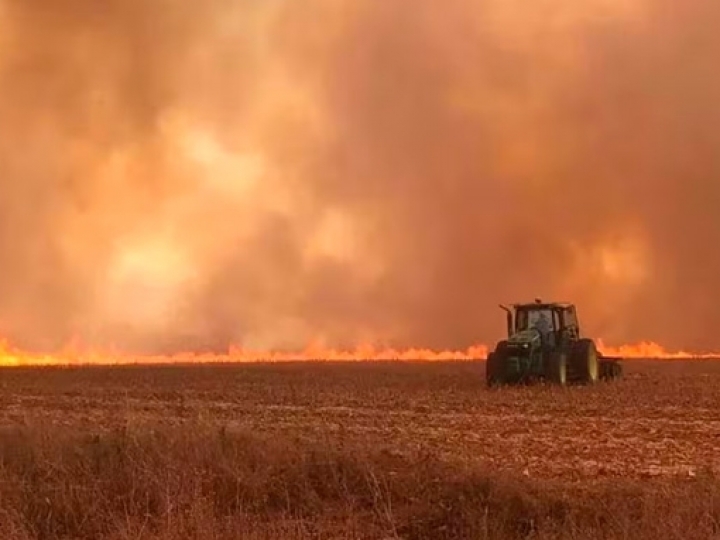 Agropecuária acumula perdas de mais de R$ 250 milhões com secas e incêndios