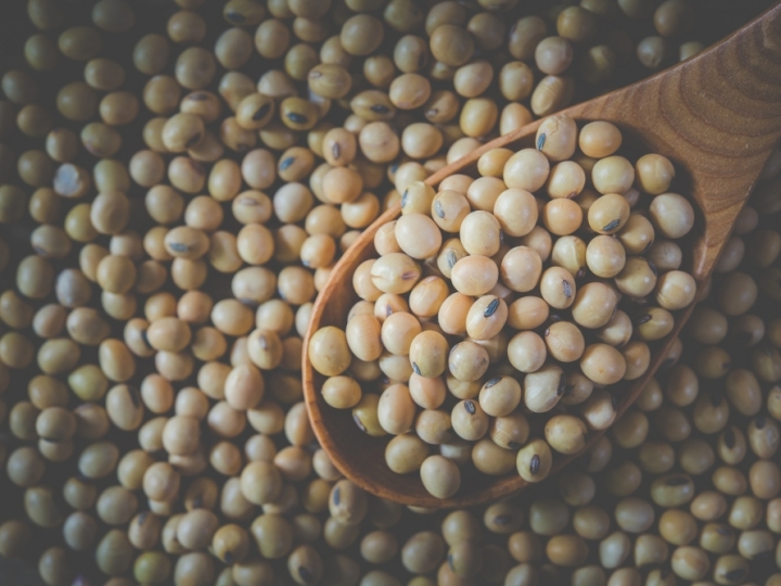 ABIOVE atualiza projeções do Complexo Soja para 2026