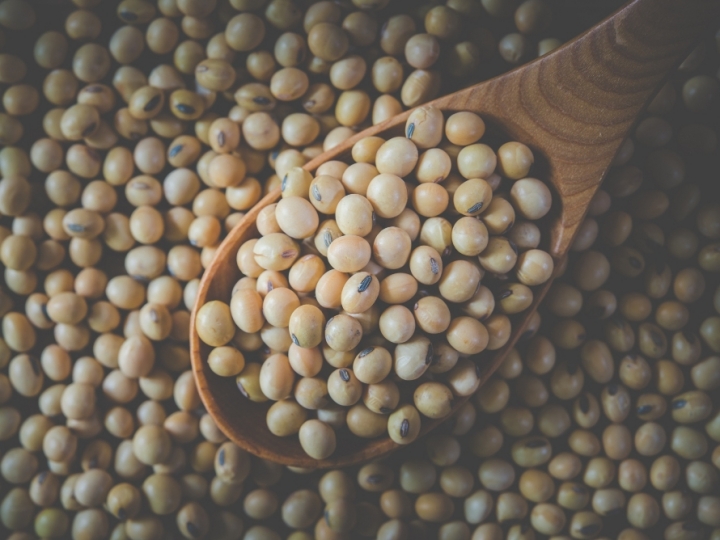 Abiove: safra brasileira de soja em 2025/26 deve atingir 178,5 milhões de t (+4%)