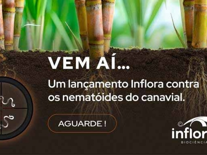 Grupo Santa Clara apresenta soluções da Infora Biociência para controle e manejo de pragas da cana