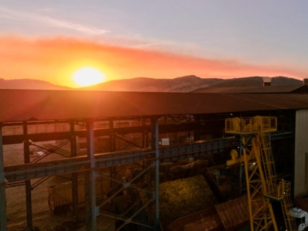 Otávio Lage de Siqueira Filho - Diretor-presidente da Jalles