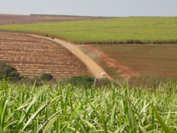 Cana: moagem no Centro-Sul deve crescer 3,6% em 2026/27, para 620,5 milhões de t