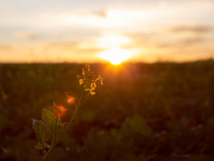 Quinta-feira será de calor intenso e temporais pelo Brasil