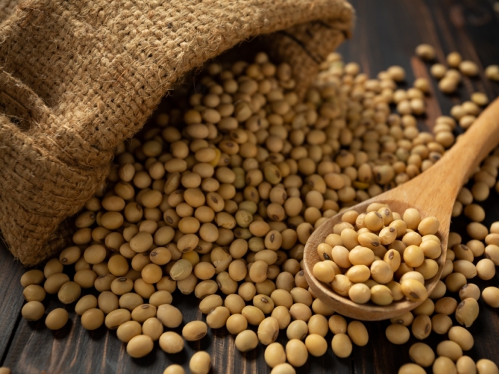 Exportações de soja do Brasil poderão crescer 5,1%, projeta Conab