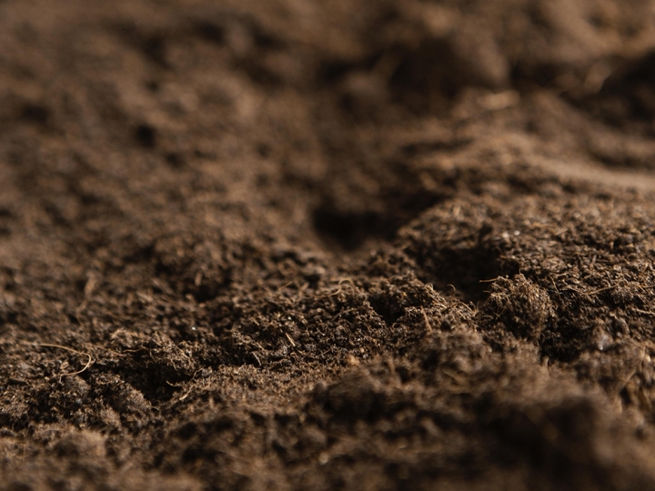 Dia Mundial do Solo: 7 ideias para comemorar de forma sustentável