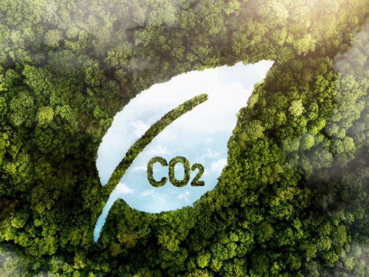 O carbono invisível sob nossos pés