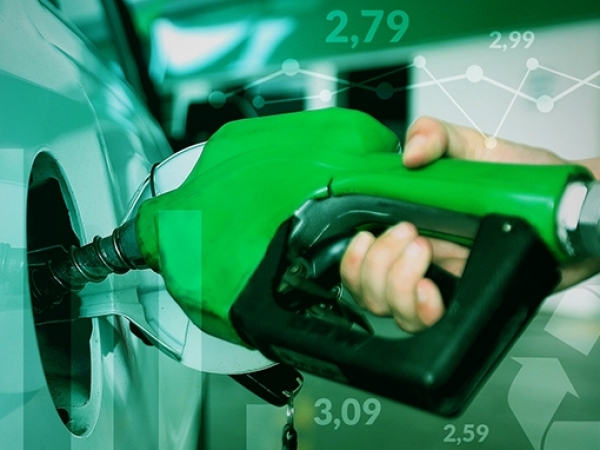 Foto: Ilustração/UDOP