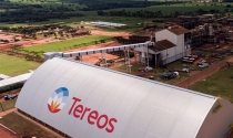 Tereos Brasil reorganiza sua base de ativos