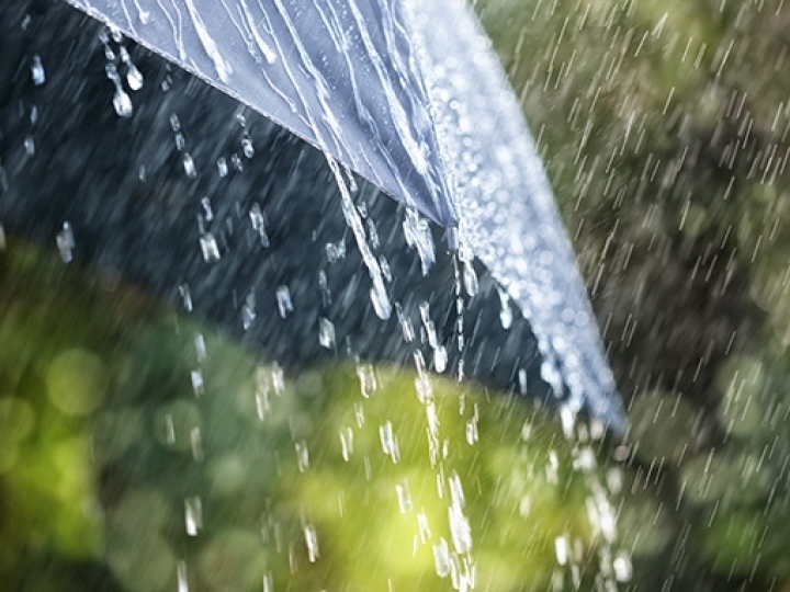 Última semana de janeiro será marcada por chuvas intensas; veja onde