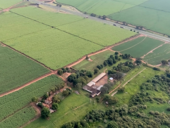 Grupo Santa Clara lança bionematicida com combinação exclusiva de bacilos para combater nematóides em cana-de-açúcar