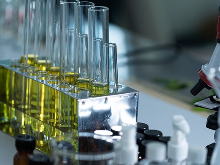 UFSCar descobre nova cepa de levedura focada na produção de etanol