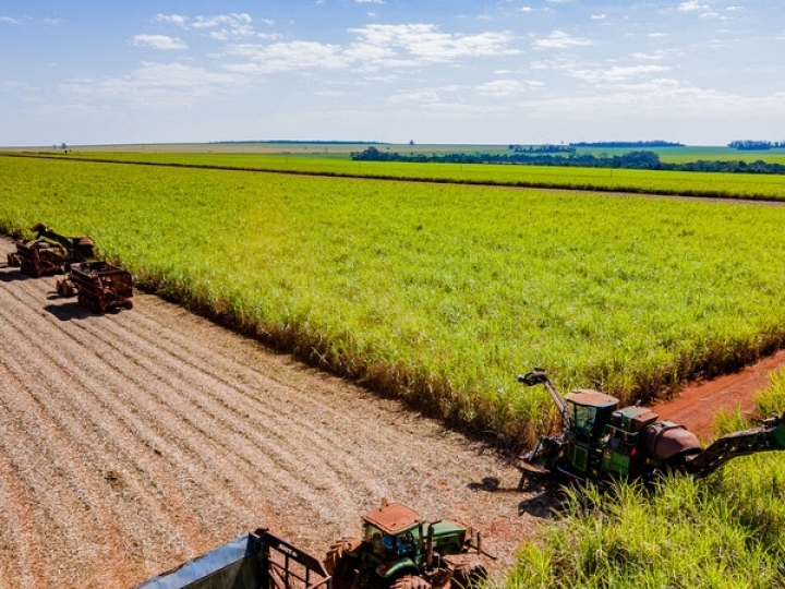 Atvos amplia parceria com a Harven Agribusiness School para capacitar 11 mil colaboradores