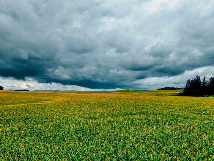 Confira a previsão do tempo para esta segunda-feira (05) para todo o Brasil