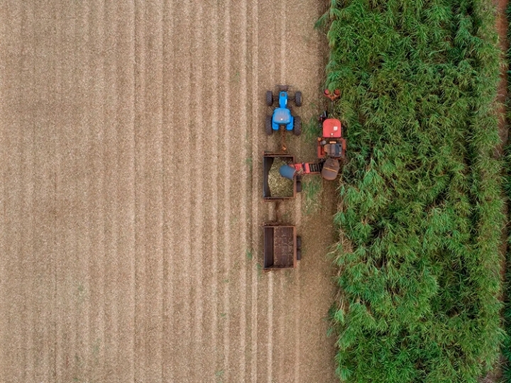 Raízes fortes, futuro em movimento: o agronegócio brasileiro em 2026 com os pés fincados no interior de São Paulo