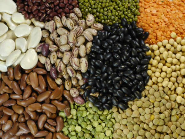 Foto: imprensa@agro.gov.br