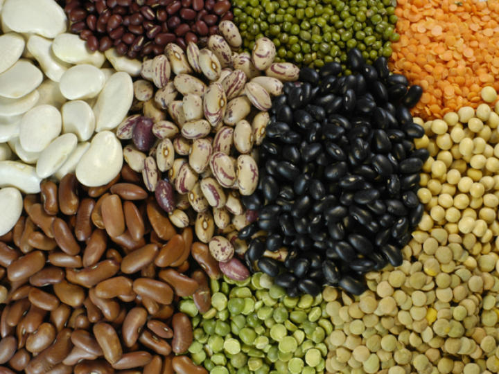 Exportações brasileiras de pulses crescem 30% em 2025