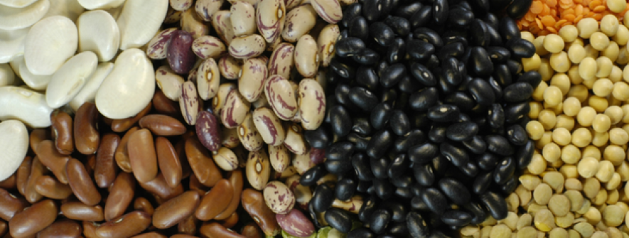 Exportações brasileiras de pulses crescem 30% em 2025