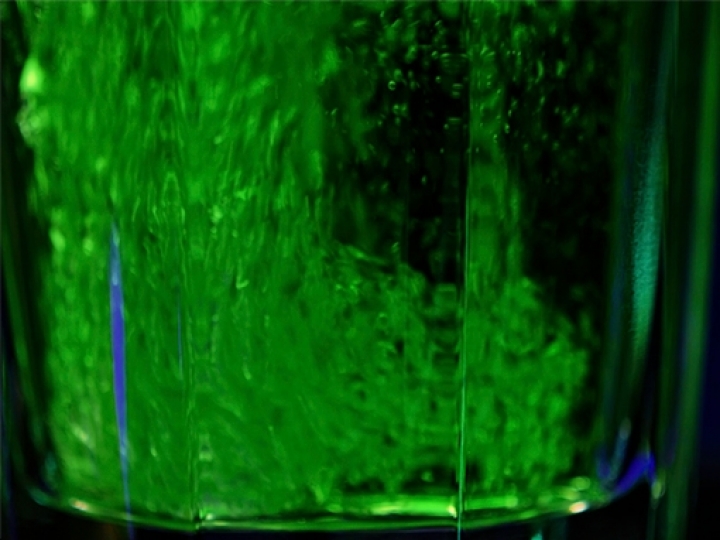 Coalizão dos Biocombustíveis quer SAF e diesel verde como prioridade em Fundo de Transição Energética