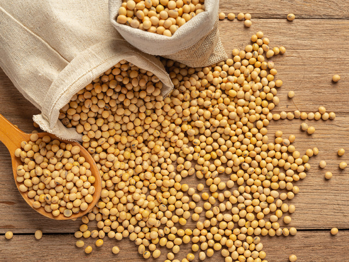 Alta dos fertilizantes reacende debate sobre bioinsumos, ainda um mercado de nicho no Brasil