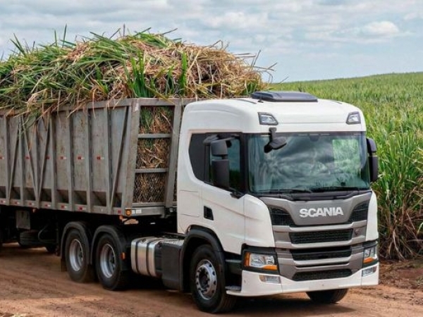 foto_platform_science