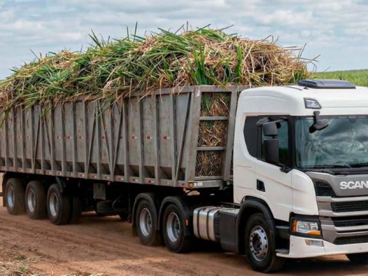 Com a guerra, biocombustíveis viram ativo estratégico do Brasil