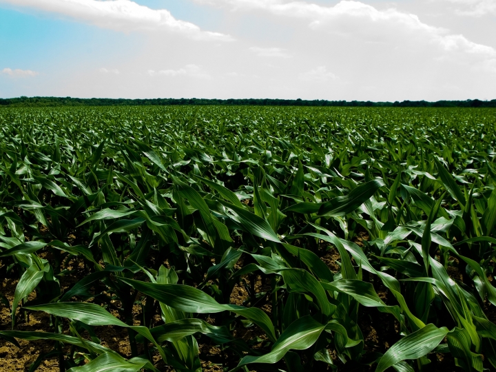 Semana começa com alerta de tempestade no Nordeste e granizo no Sul