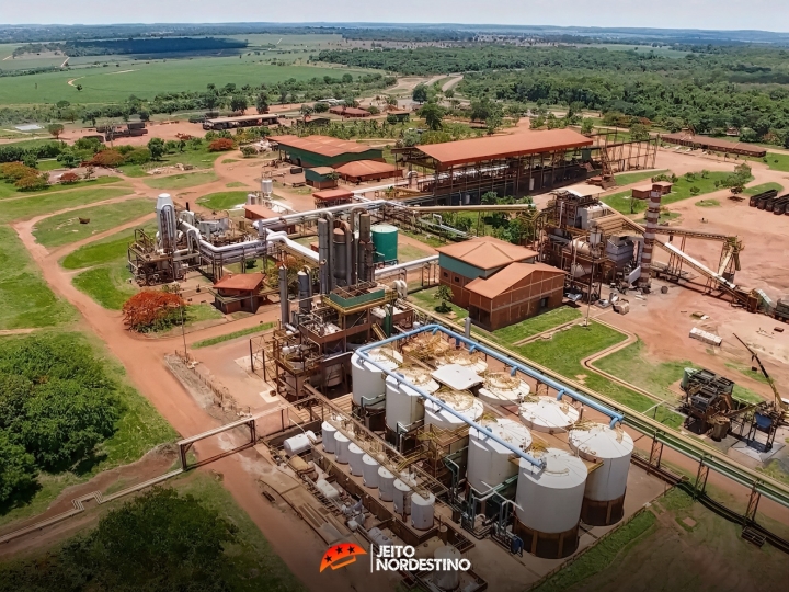 Alagoas é o maior produtor de cana-de-açúcar do Nordeste