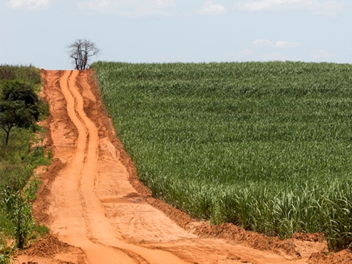 CNA projeta queda de 4,6% para o valor bruto de produção do setor em 2026