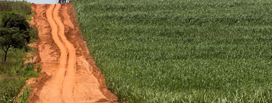 CNA projeta queda de 4,6% para o valor bruto de produção do setor em 2026