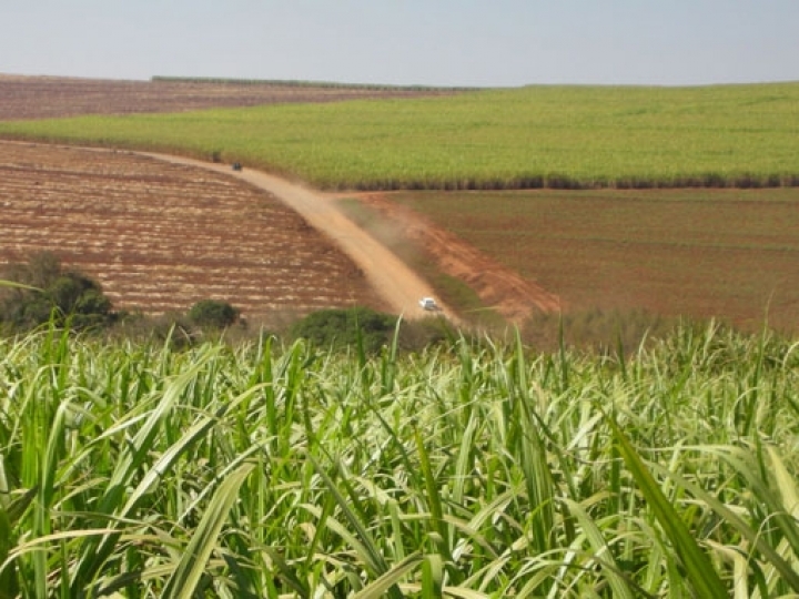 Guerra expõe elo vulnerável do agro brasileiro