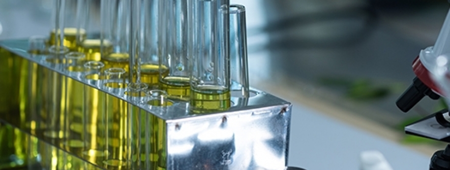 Governo da Argentina permitirá mistura de até 15% de etanol na gasolina