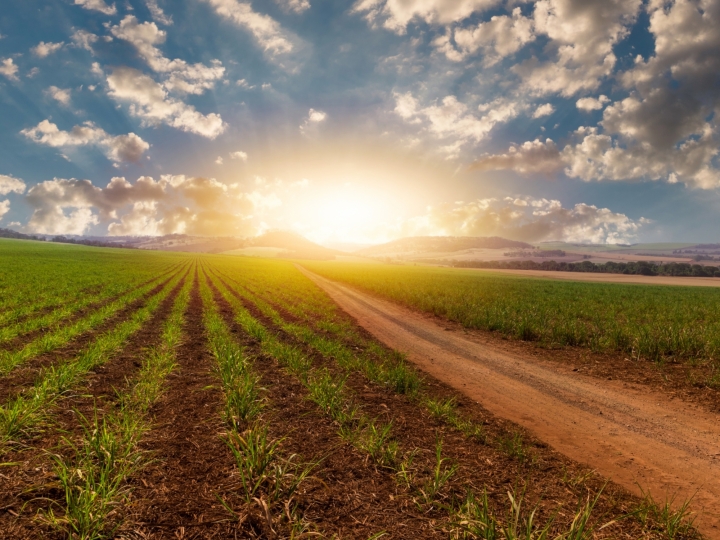 Produção de etanol crescerá 4 bilhões no Brasil