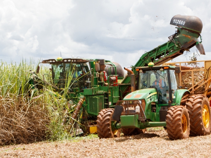 Usinas Batatais e Cevasa iniciam a Safra 2026/2027 com perspectiva de moagem de 6.250.000 toneladas de cana-de-açúcar.