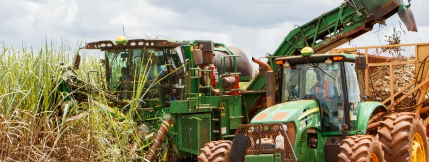 Usinas Batatais e Cevasa iniciam a Safra 2026/2027 com perspectiva de moagem de 6.250.000 toneladas de cana-de-açúcar.