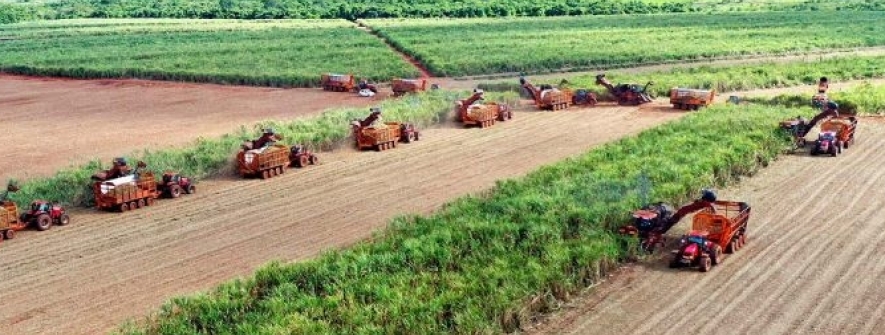 Usina Coruripe obtém financiamento internacional de R$ 530 milhões