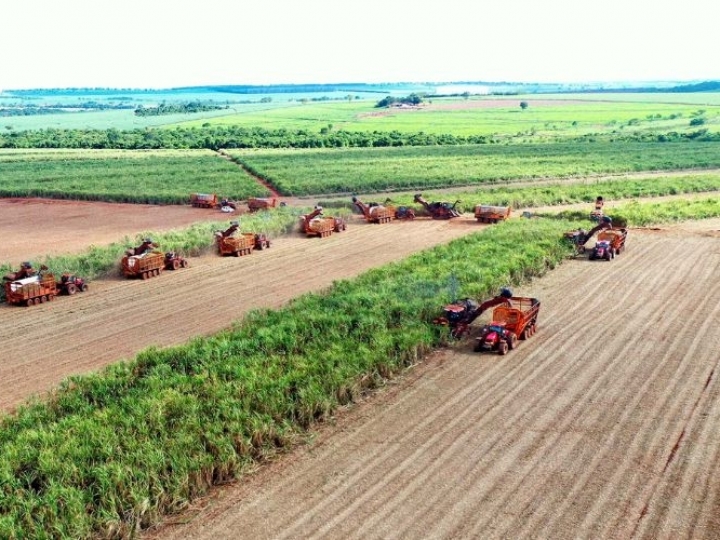 Açúcar fecha a semana em queda nas bolsas internacionais, mas reage no mercado interno