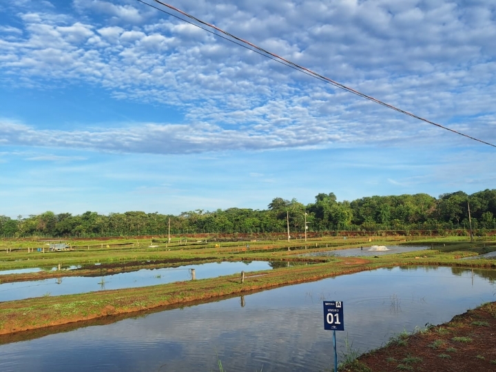 Novo chefe-geral tomará posse oficialmente na Embrapa Pesca e Aquicultura